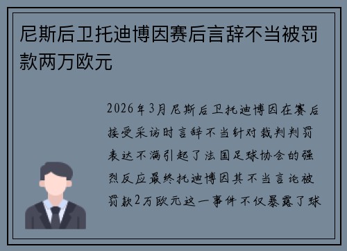 尼斯后卫托迪博因赛后言辞不当被罚款两万欧元