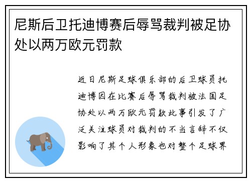 尼斯后卫托迪博赛后辱骂裁判被足协处以两万欧元罚款